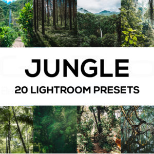 20 Jungle Lightroom Presets (Desktop and Mobile)