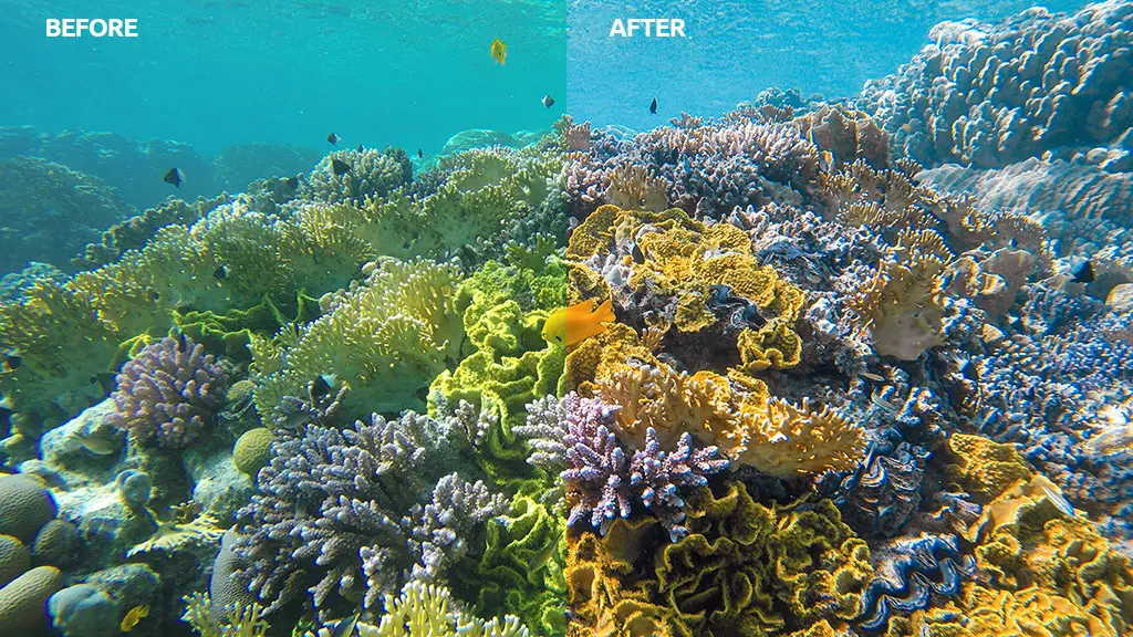 How to Fix the Green Underwater Color in your GoPro Pictures / Vid